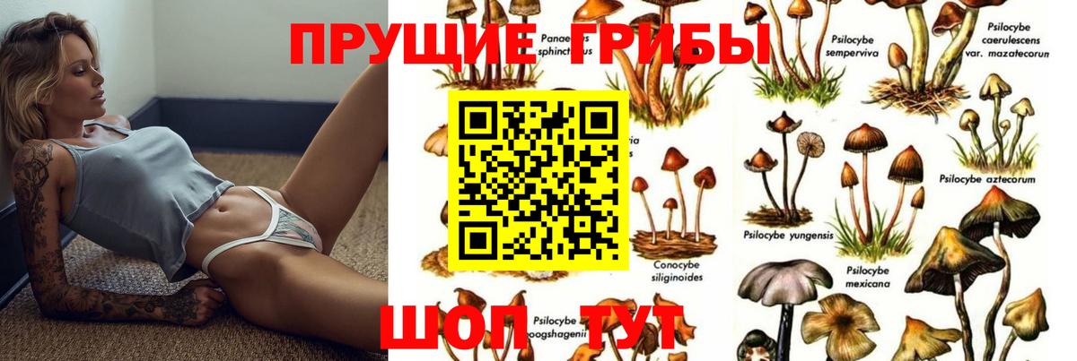 Галлюциногенные грибы прущие грибы Альметьевск