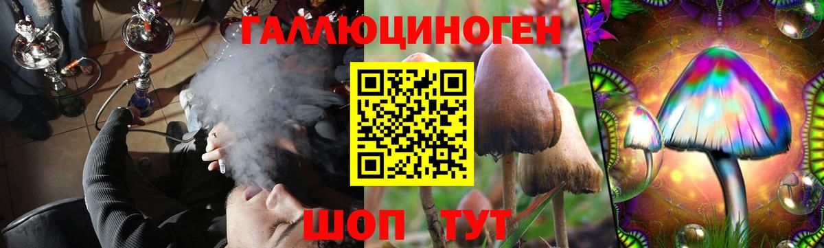 Псилоцибиновые грибы GOLDEN TEACHER  Вход с VPN  Альметьевск 