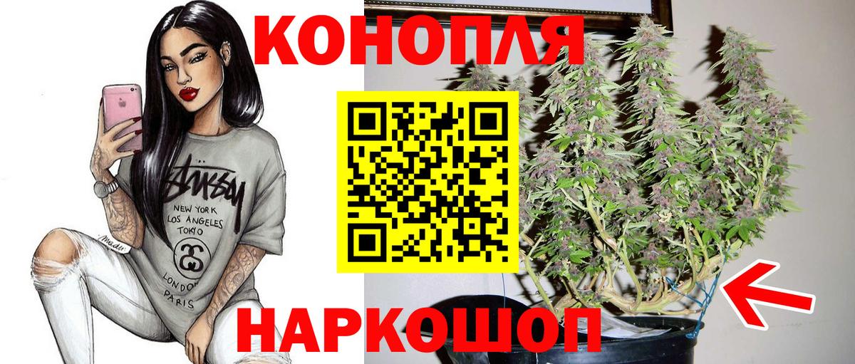 Бошки марихуана планчик  Бошки Шишки OG Kush  Альметьевск  Вход с VPN  Канабис планчик 
